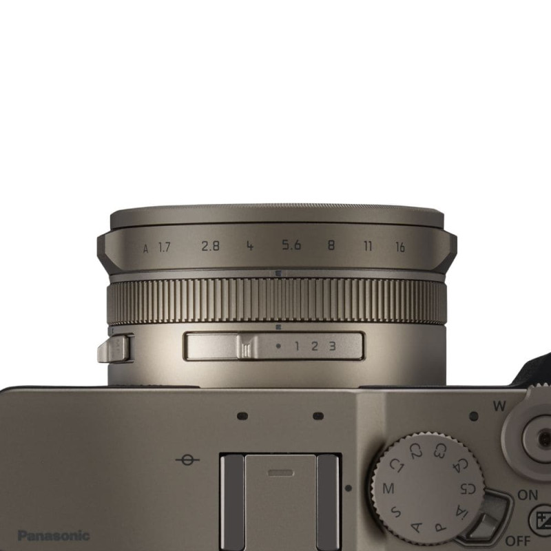 Цифровая фотокамера Panasonic Lumix DC-L10E-N Gold