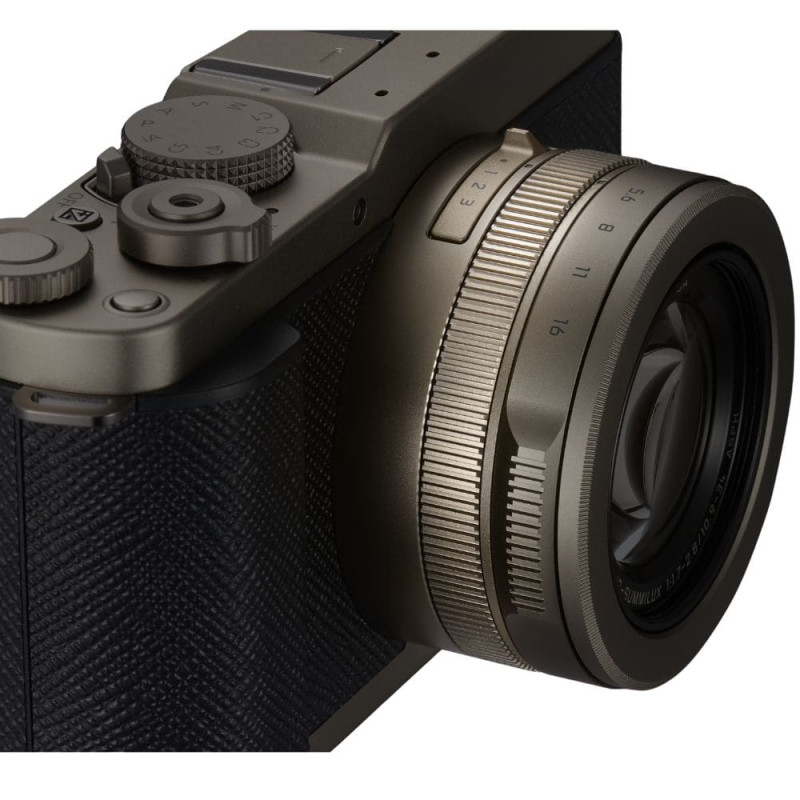 Цифровая фотокамера Panasonic Lumix DC-L10E-N Gold