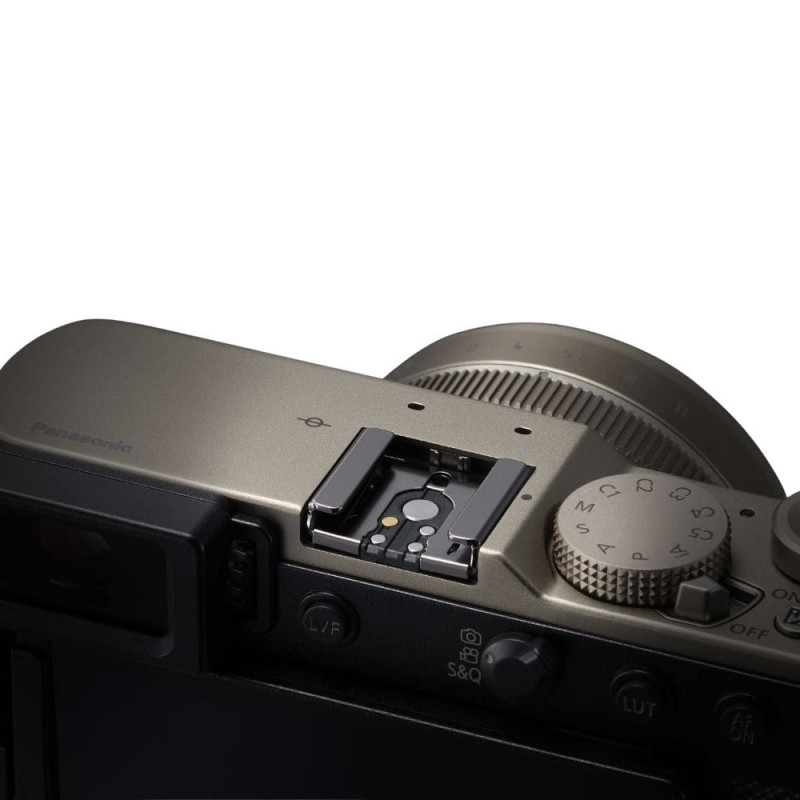Цифровая фотокамера Panasonic Lumix DC-L10E-N Gold