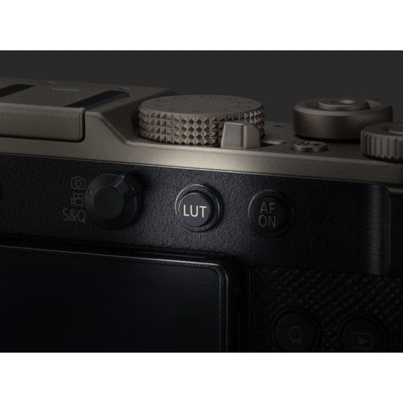 Цифровая фотокамера Panasonic Lumix DC-L10E-N Gold