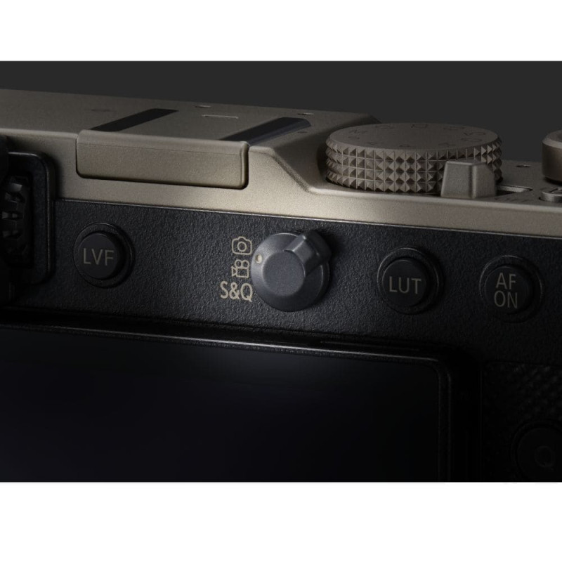 Цифровая фотокамера Panasonic Lumix DC-L10E-N Gold