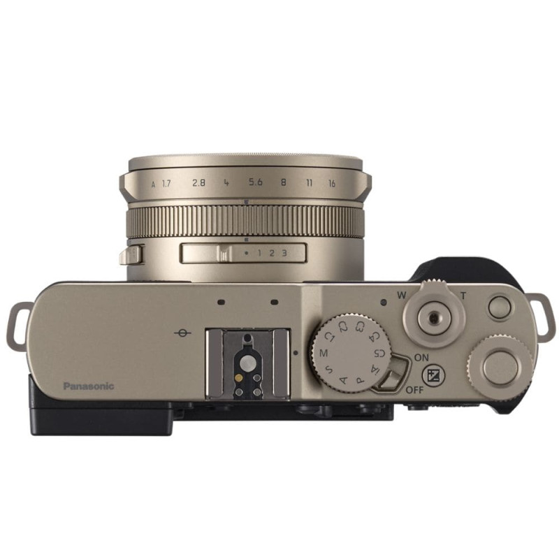 Цифровая фотокамера Panasonic Lumix DC-L10E-N Gold