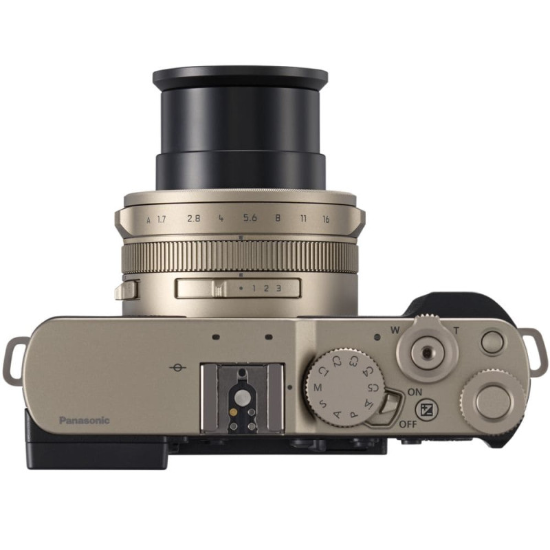 Цифровая фотокамера Panasonic Lumix DC-L10E-N Gold