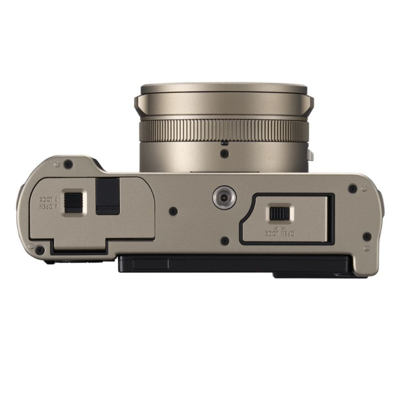 Цифровая фотокамера Panasonic Lumix DC-L10E-N Gold