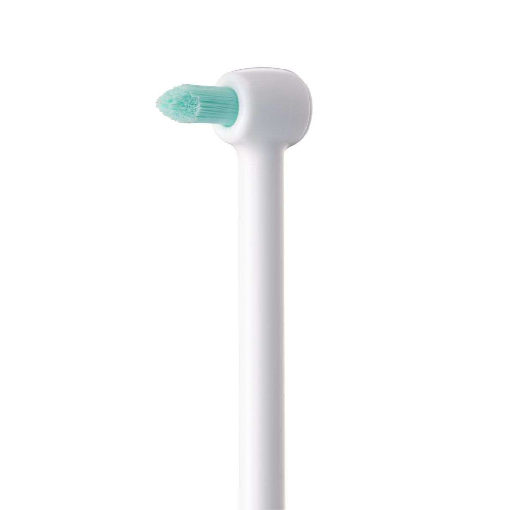 Ирригатор Panasonic EW1313G321 с 2 насадками