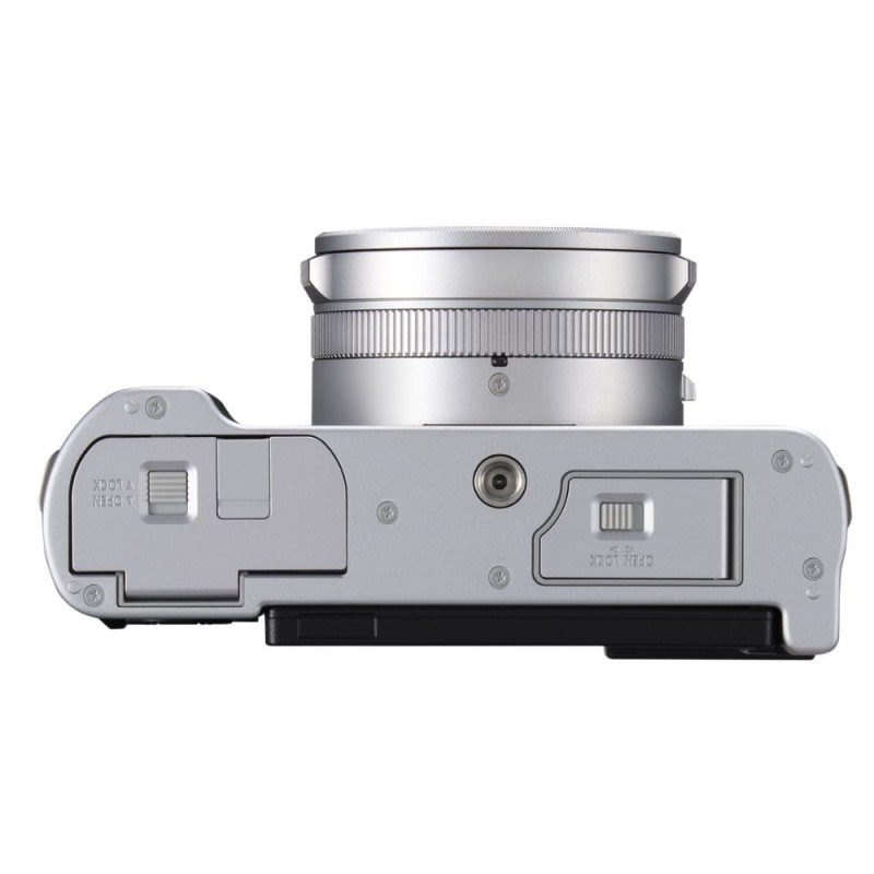 Цифровая фотокамера Panasonic Lumix DC-L10E-S Silver