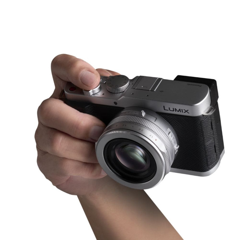 Цифровая фотокамера Panasonic Lumix DC-L10E-S Silver